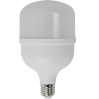 T100 30W High Power LED Lamp