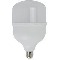 T120 40W High Power LED Lamp