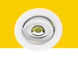 LED Downlight