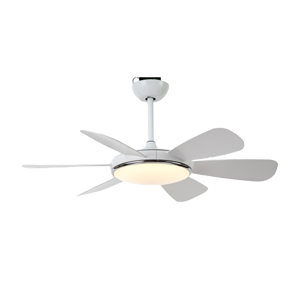 LED Fan Light