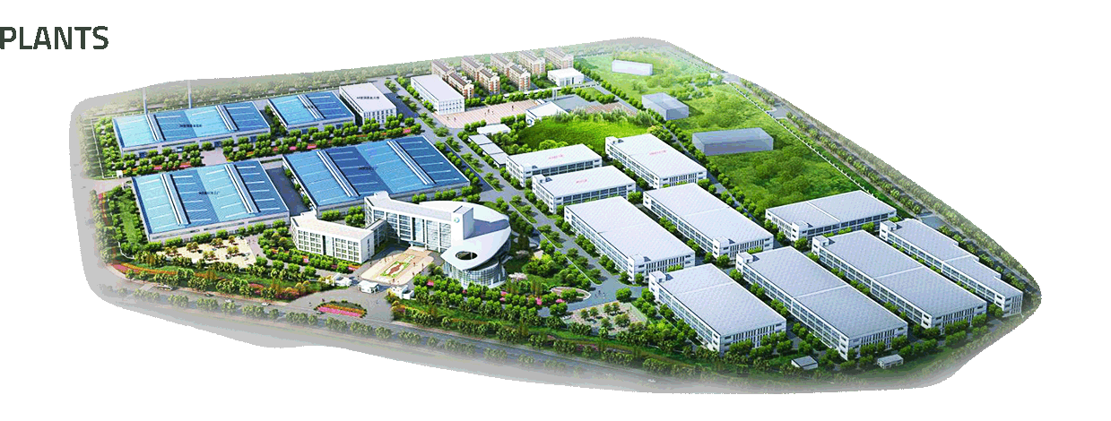 TBCIN numero 1 del mercado